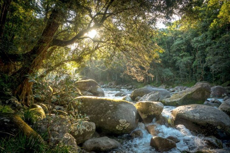 Mossman Gorge: Day Tour With River Drift Snorkeling - Tour Inclusions and Logistics