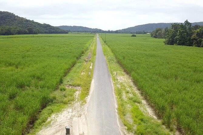 Mossman Highlights eBike Tour - An In-Depth Look at the Mossman Highlights eBike Tour