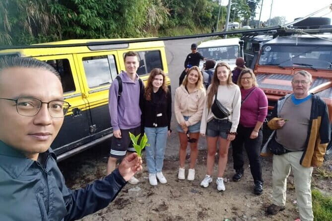 Mossy Forest in Brinchang Tour - A Closer Look at the Tour Experience