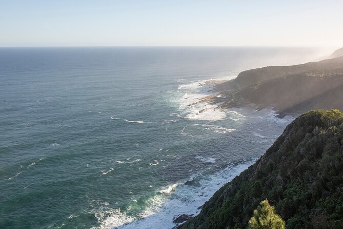 Most Exciting Adventurous Activities and the Only Quadbike Tours in Tsitsikamma - Get up Close With Tsitsikammas Flora and Fauna