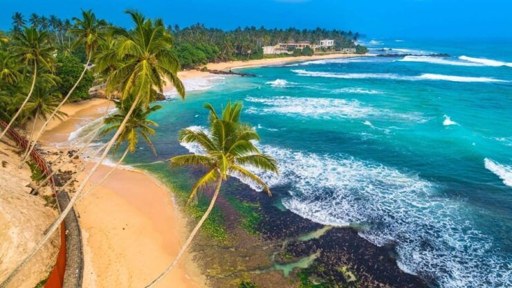 Most Famous Tour in Sri Lanka for 8 Days With Pvt Car& Guide - Inclusions and Services