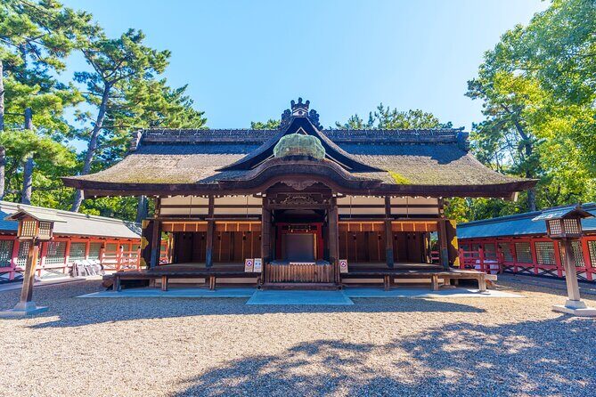 Most Memorable Walking and Food Tour in Osaka - Who Should Consider This Tour?