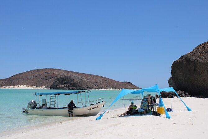 Most Popular Tour in La Paz Isla Espíritu Santo and Sea Lions - Good To Know