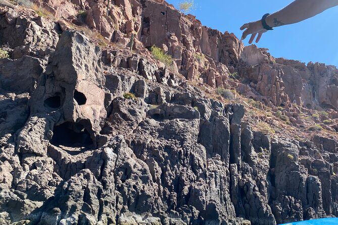 Most Popular Tour in La Paz Isla Espíritu Santo and Sea Lions - FAQs