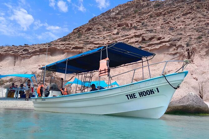 MOST POPULAR TOUR IN LA PAZ! Swim with Sea Lions Private Boat - Who Is This Tour Best For?