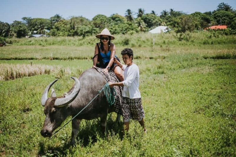 Motag Living Museum and ATV Ride - Who Should Book This Tour?