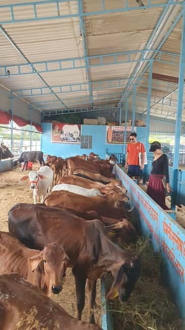 Motor bike ride to Baidhnath shiva temple and trekking - What’s Included and What’s Not