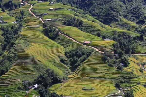 Motorbike Tour Explore the Local Way in Sapa - How to Book