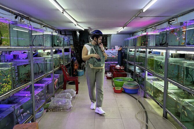 Motorbike Tour Saigon Hidden Gems and Food Tasting - Starting Point & Setting Off