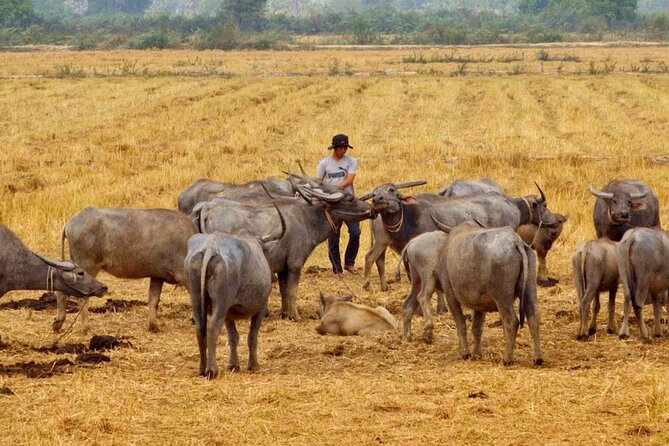 Motorbike Tour With Expert Guide To Explore Krong Siem Reap - Customer Reviews and Ratings