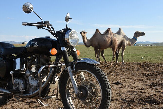Motorcycle trip-Genghis Khan Statue complex, camel riding & Lunch - The Sum Up
