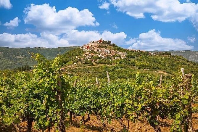 Motovun - Amazing Views & Tasty Truffles (From Rovinj) - Tour Details