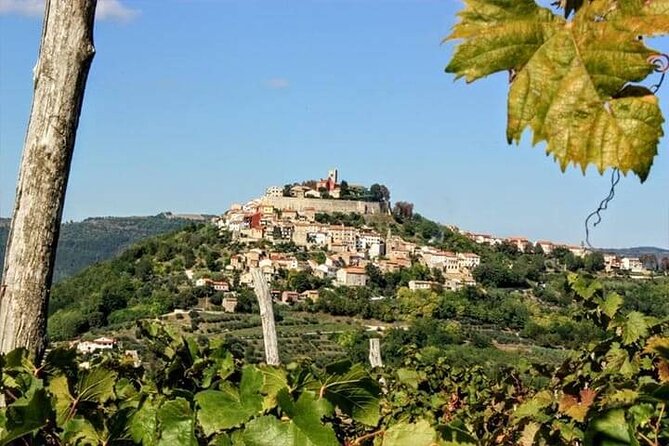 Motovun - Amazing Views & Tasty Truffles (From Rovinj) - Reviews
