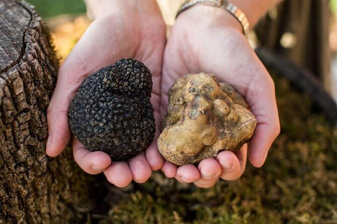Motovun - Amazing Views & Tasty Truffles (From Rovinj) - Directions