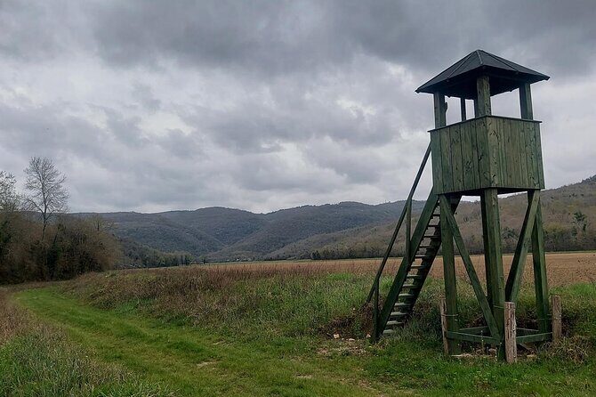 Motovun Area Hiking Tour with a Historian - Frequently Asked Questions
