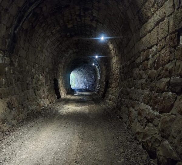 Motovun: the Trail of Giants Hiking Tour & Fritule Tasting - What to Bring on the Tour