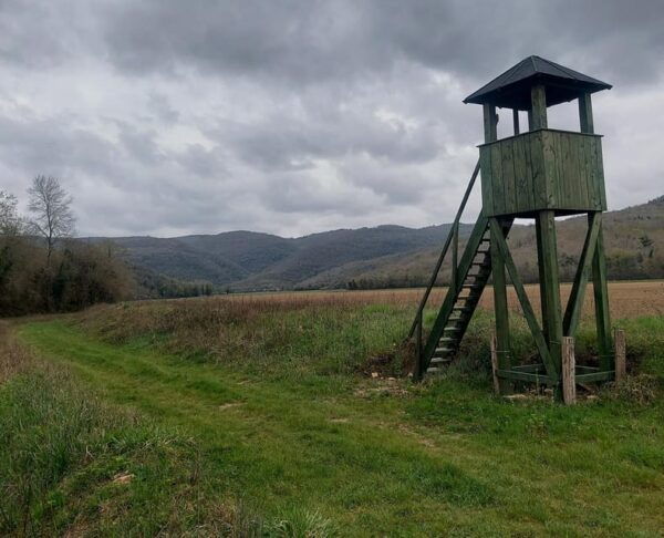 Motovun: the Trail of Giants Hiking Tour & Fritule Tasting - Booking and Cancellation Policies