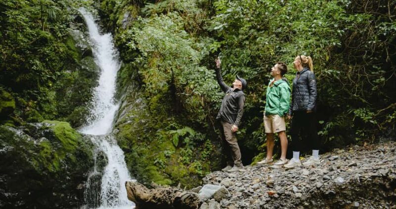 Motu River Jet Boat Tour - The Scenic Highlights