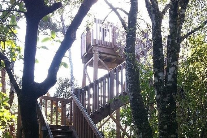 Motuara Island Bird Sanctuary and Ship Cove Cruise From Picton - Unforgettable Nature Experience