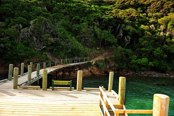 Motuara Island Bird Sanctuary and Ship Cove Cruise From Picton - Tour Starts at 08:00 AM