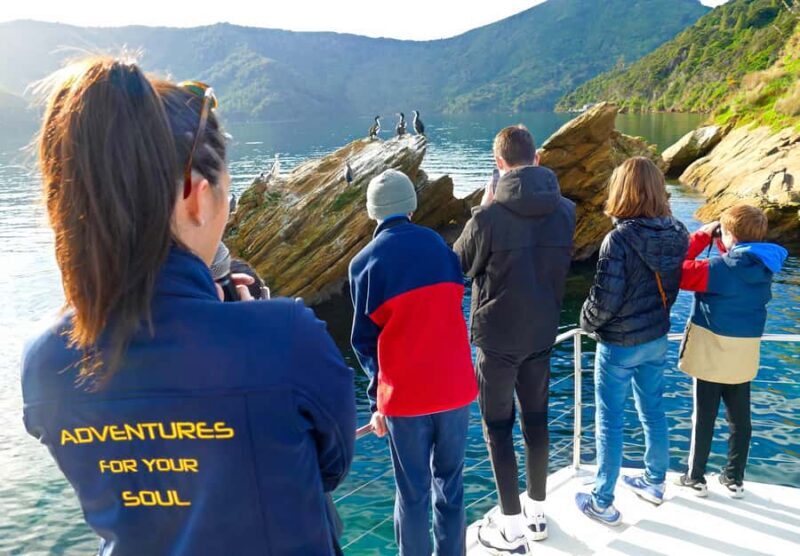 Motuara Island Sanctuary: Wildlife & Dolphin Watching Tour - Good To Know