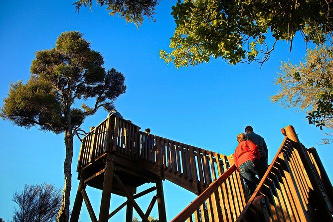 Motuara Wildlife Sanctuary Tour and Dolphin Cruise from Picton - Exploring the Itinerary in Detail