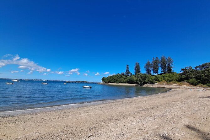 Motuihe Island Day Trip Ferry from Auckland - Good To Know