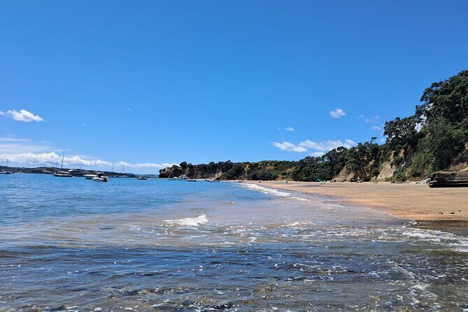 Motuihe Island Day Trip Ferry from Auckland - A Closer Look at the Experience
