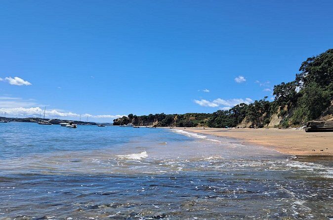 Motuihe Island Day Trip Ferry from Auckland - The Sum Up