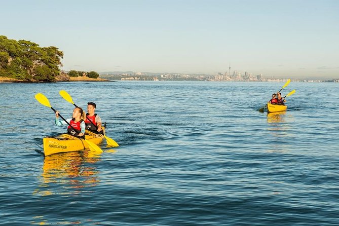 Motukorea / Browns Island Sea Kayak Journey - Overview of Browns Island Kayak Tour