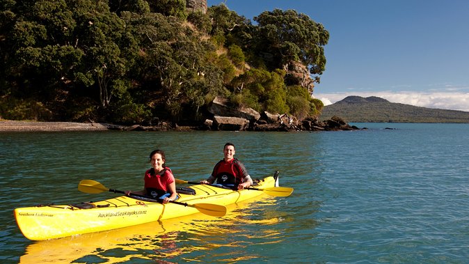 Motukorea / Browns Island Sea Kayak Journey - Summit Views and Historical Insights