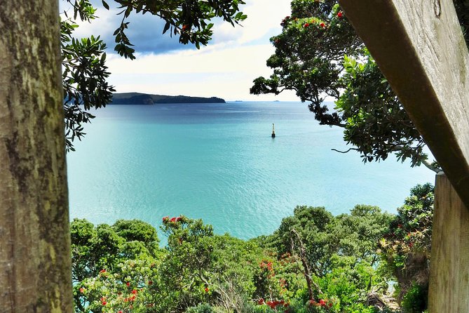 Motukorea / Browns Island Sea Kayak Journey - Important Information and Cancellation Policy