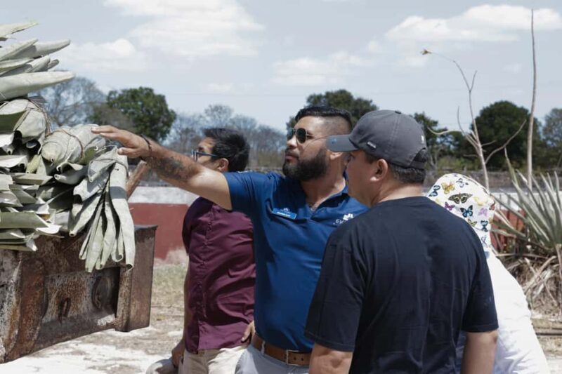 Motul, Hacienda, Xcambo, Pink Salt Mine & Progreso Day Trip - Good To Know