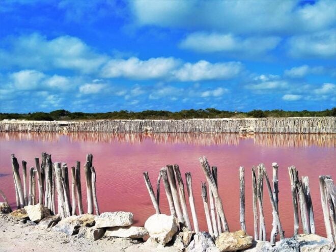 Motul, Hacienda, Xcambo, Pink Salt Mine & Progreso Day Trip - Hacienda San Eduardo