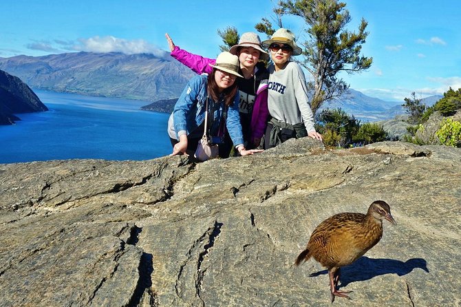 Mou Waho Island Cruise and Nature Walk From Wanaka - Cancellation Policy