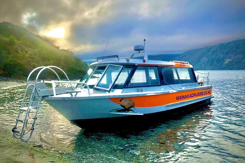 Mou Waho Island Cruise & Nature Walk Tour - The odd island at the heart of the trip