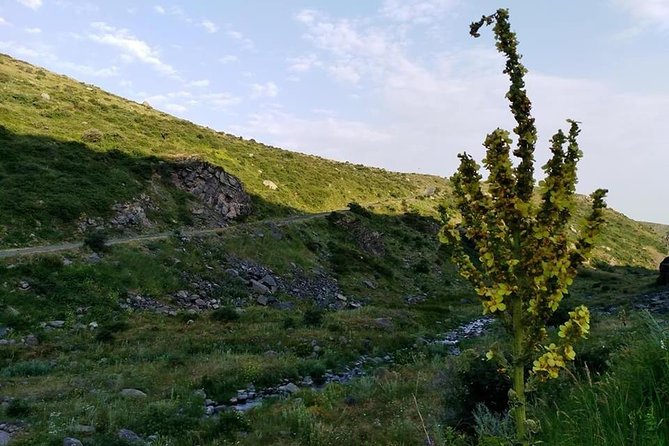 Mount Aragats, Amberd Fortress, Saghmosavank Monastery, Alphabet - Private Tour - Good To Know
