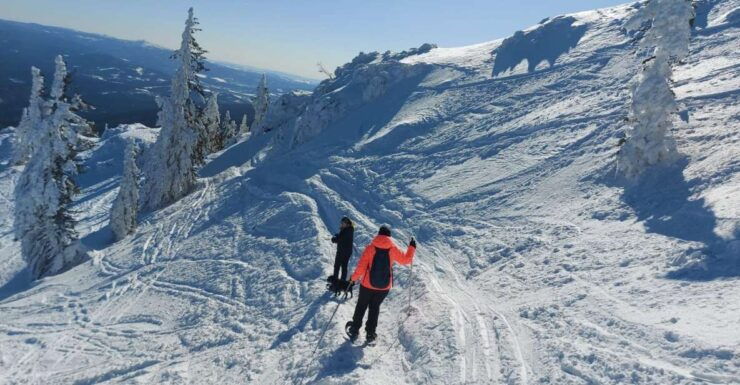 Mount Arber: Snowshoeing in the Bavarian Forest Guided Tour - Experience Highlights