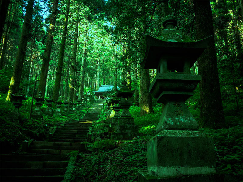 Mount Aso Crater, Kusasenri, Kamishikimi Kumanoza Shrine, Kurokawa Onsen (Departing from Fukuoka/Kumamoto) - Kamishikimi Kumanoza Shrine: forest quiet and stone steps