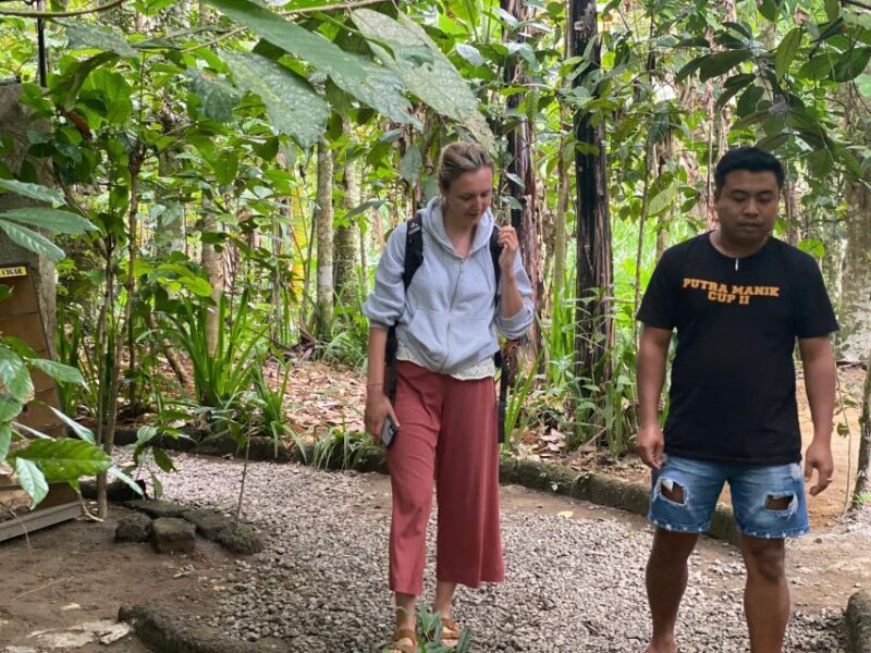 Mount Batur 4WD Jeep Sunrise Tour kintamani - Optional Coffee Plantation Visit