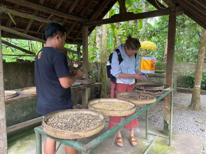 Mount Batur 4WD Jeep Sunrise Tour kintamani - Final Thoughts
