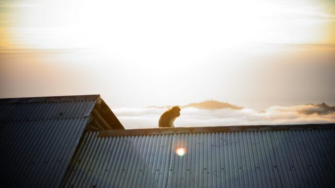 Mount Batur Private Tour: Sunrise Trekking & Hot Spring - Hot Springs Relaxation