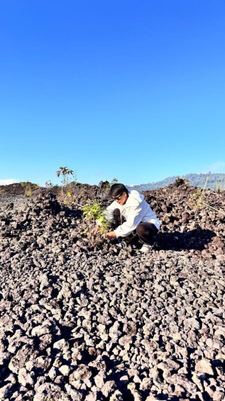 Mount Batur Sunrise Jeep and Eco Adventure Tree Planting Experince - Who should book this outing