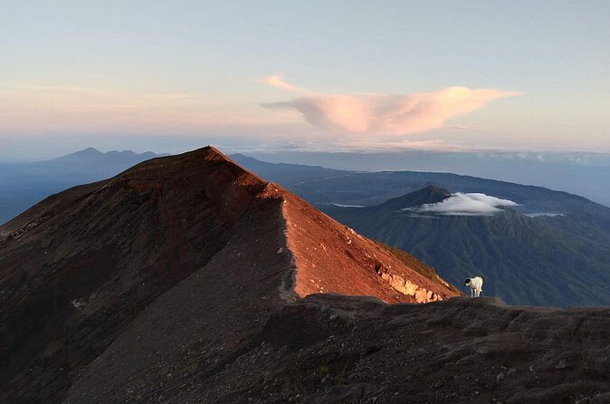 Mount Batur Sunrise Trekking, Hot Springs & Lunch at Restaurant - Is This Tour Right for You?