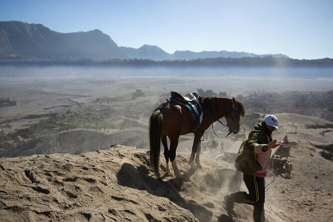Mount Bromo Private Day Tour Experience Crater and Sunset Viewing - Who Will Love This Tour?