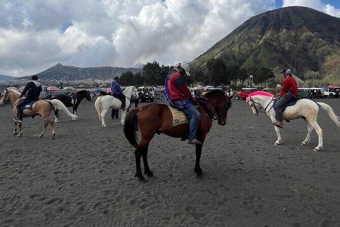 Mount Bromo Shared Sunrise Tour 1 day from Surabaya (sharing) - Insights from Traveler Reviews