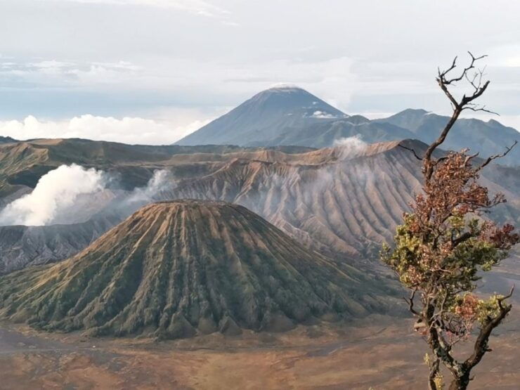 Mount Bromo Sunrise 1 Day Private Tour From Surabaya/Malang - Good To Know