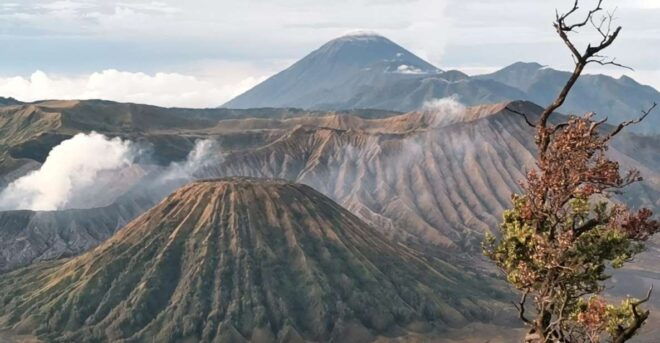 Mount Bromo Sunrise 1 Day Private Tour From Surabaya/Malang - Full Description