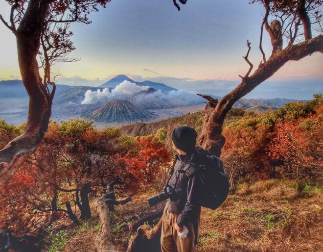 Mount Bromo Sunrise and Madakaripura Waterfall 1 Day Tour - Madakaripura Waterfalls Exploration