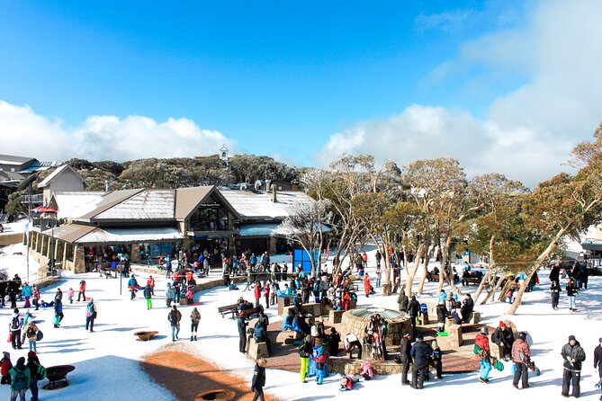 Mount Buller 1 Day Guided Tour - Tour Details